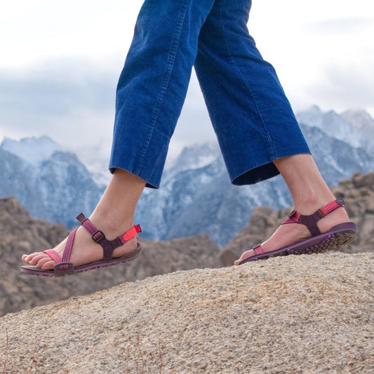 Xero Shoes Z-Trail EV Magenta
