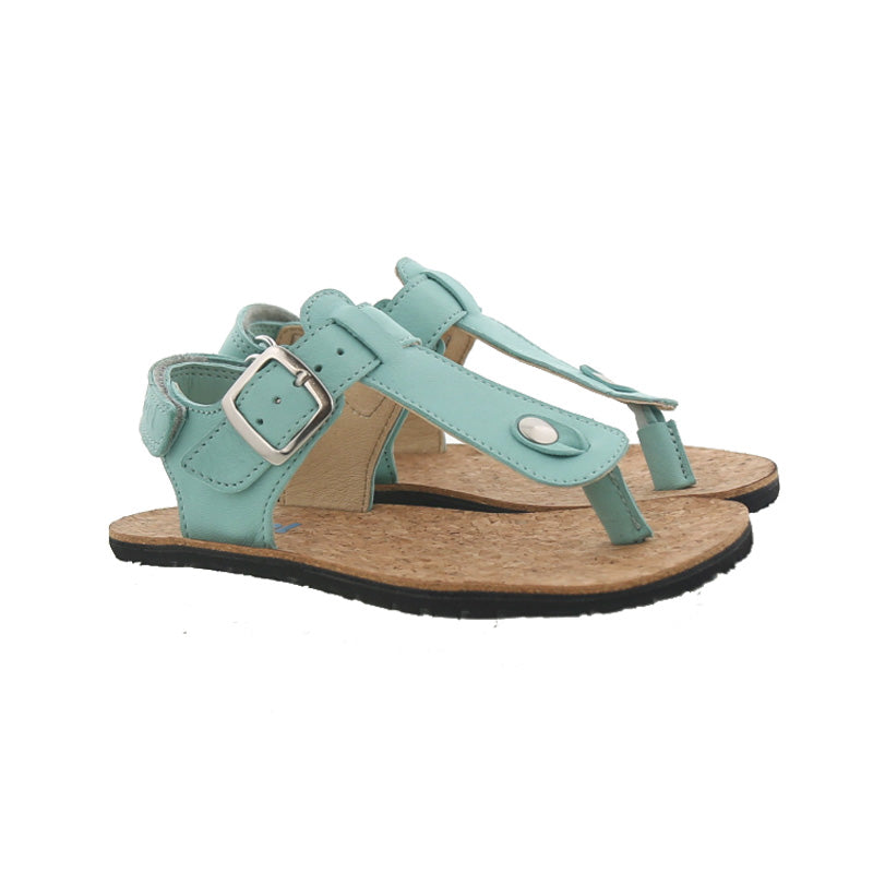 Koel Abriana Aqua