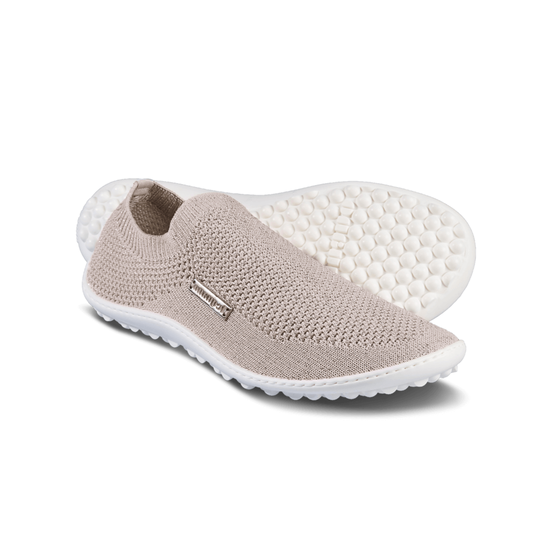 Leguano Scio Rose